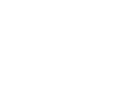 Ahold Logo