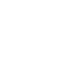 Government Logo
