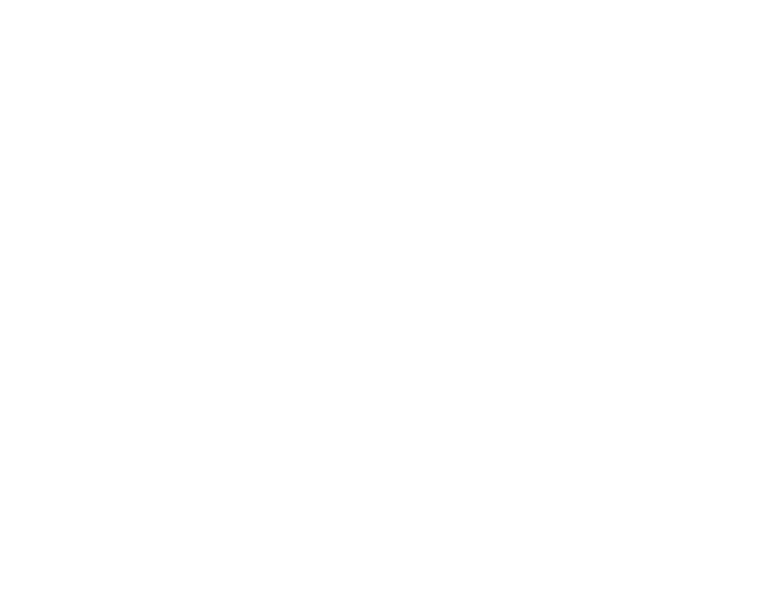PWC Logo