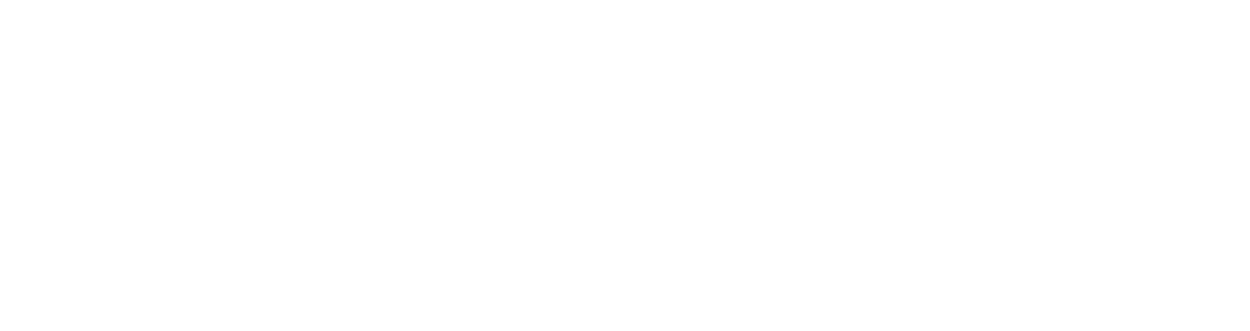 Schiphol Logo